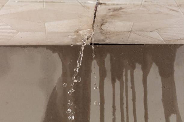 Professional Water Damage Repair technician working in Placerville, ID